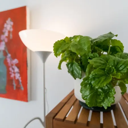 El Refugio De Seneca