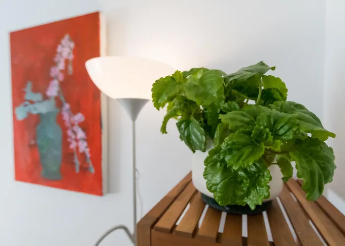 El Refugio De Seneca